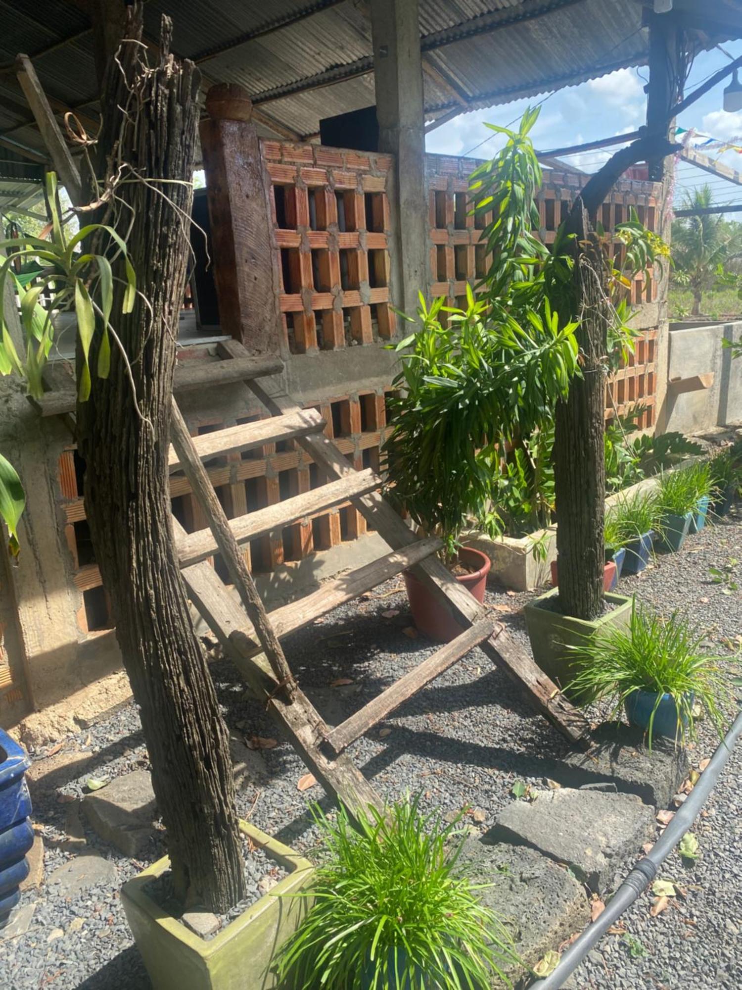 Homestay Tay Xa Trang Bom Extérieur photo