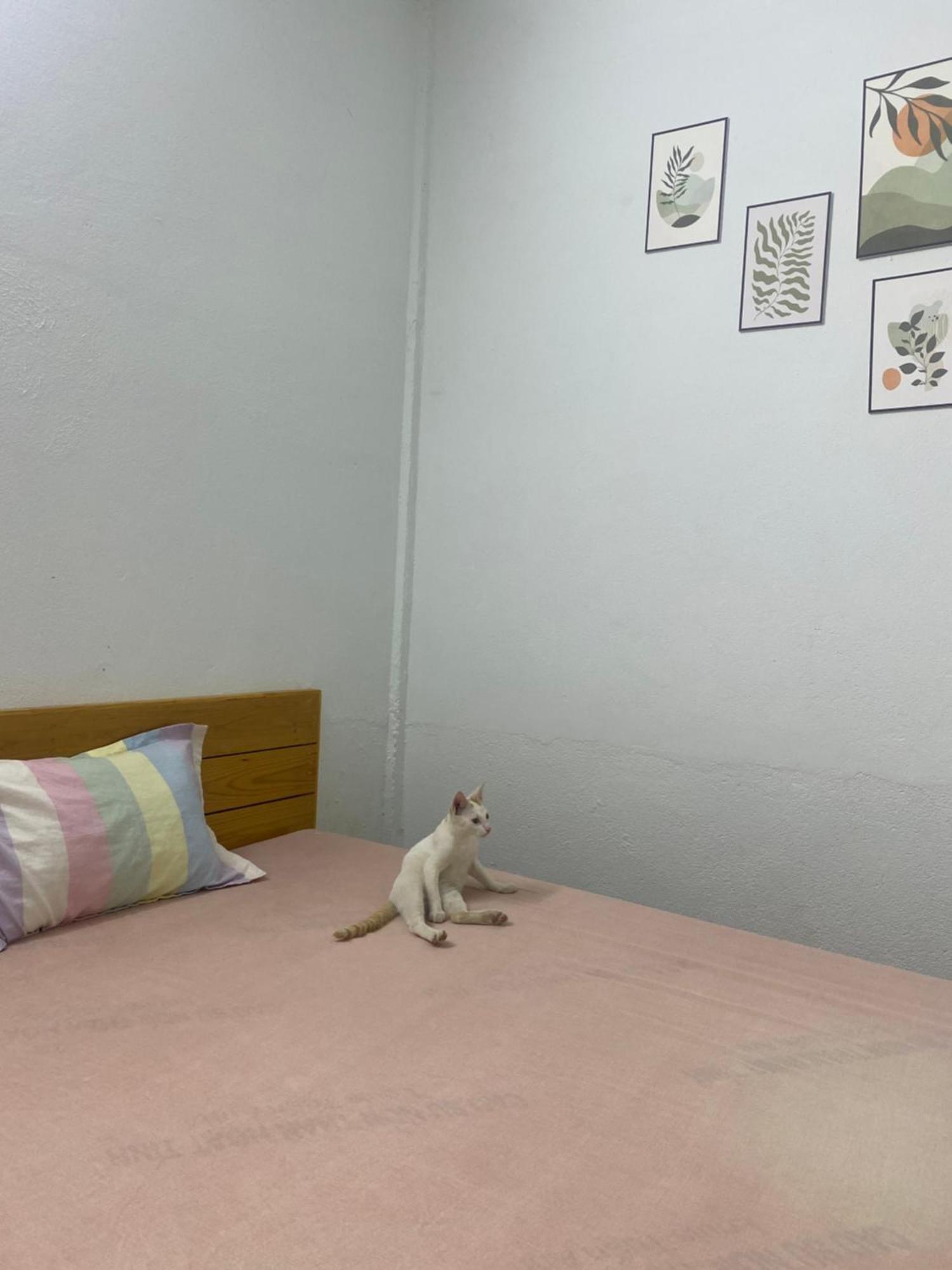 Homestay Tay Xa Trang Bom Extérieur photo